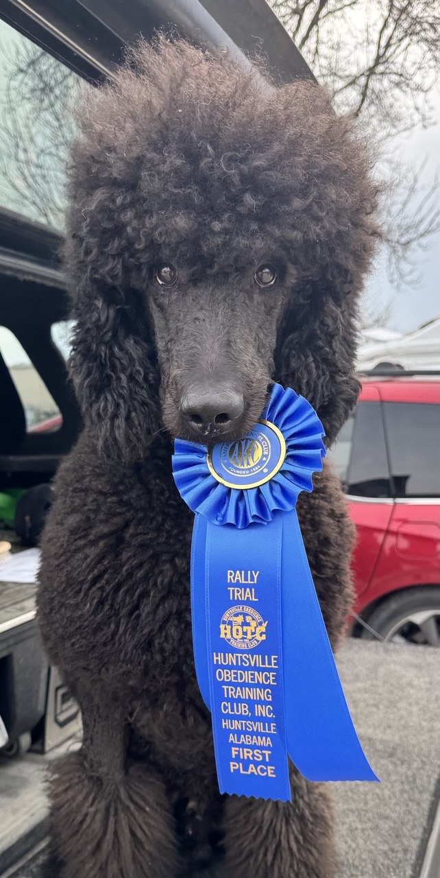 Enzo Rally Novice title First Place Huntsville OTC