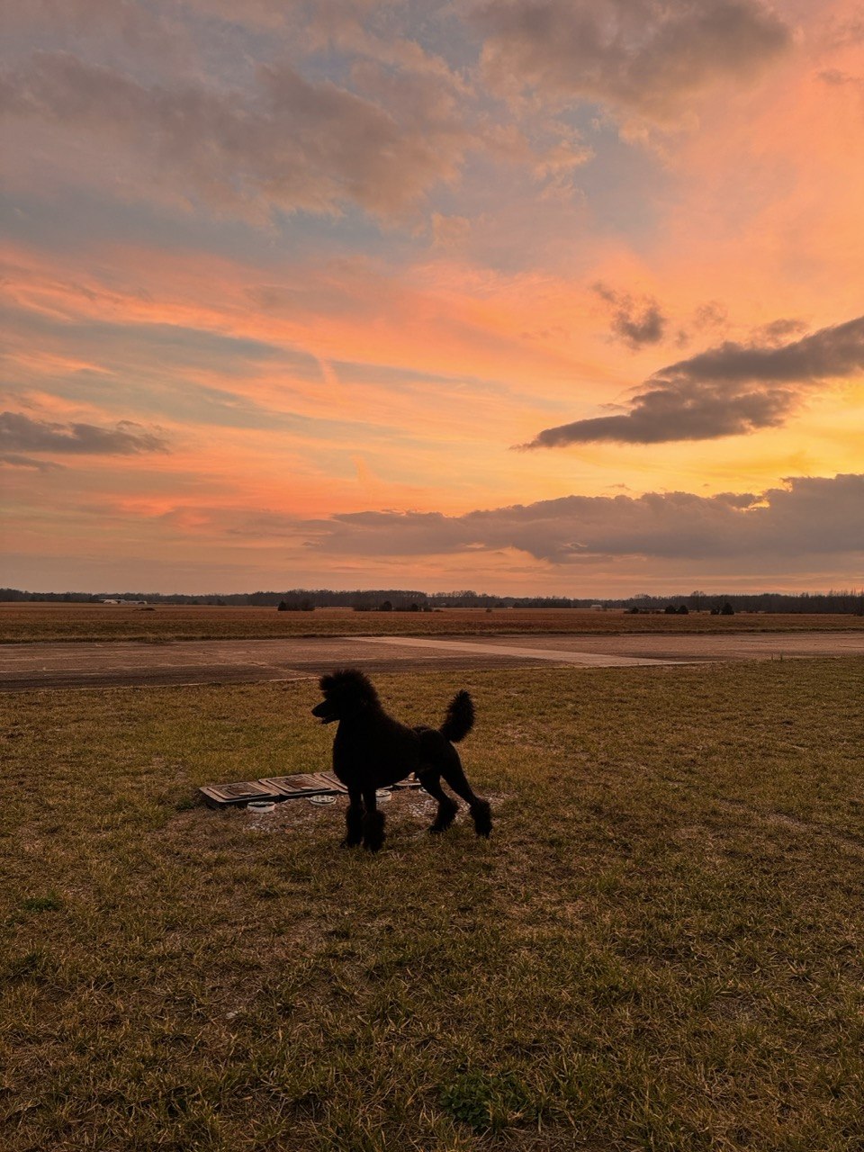 Enzo sunset candid