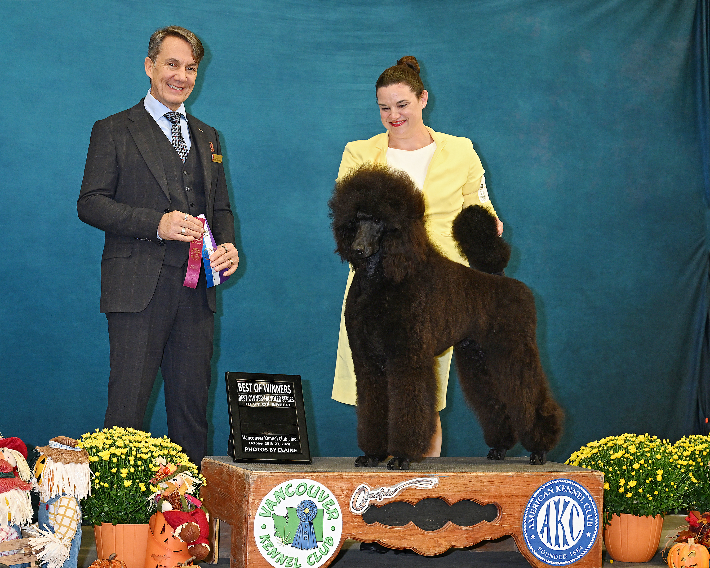 Enzo — Best of Winners, Best Owner-Handled, Best of Breed, Vancouver KC 2024