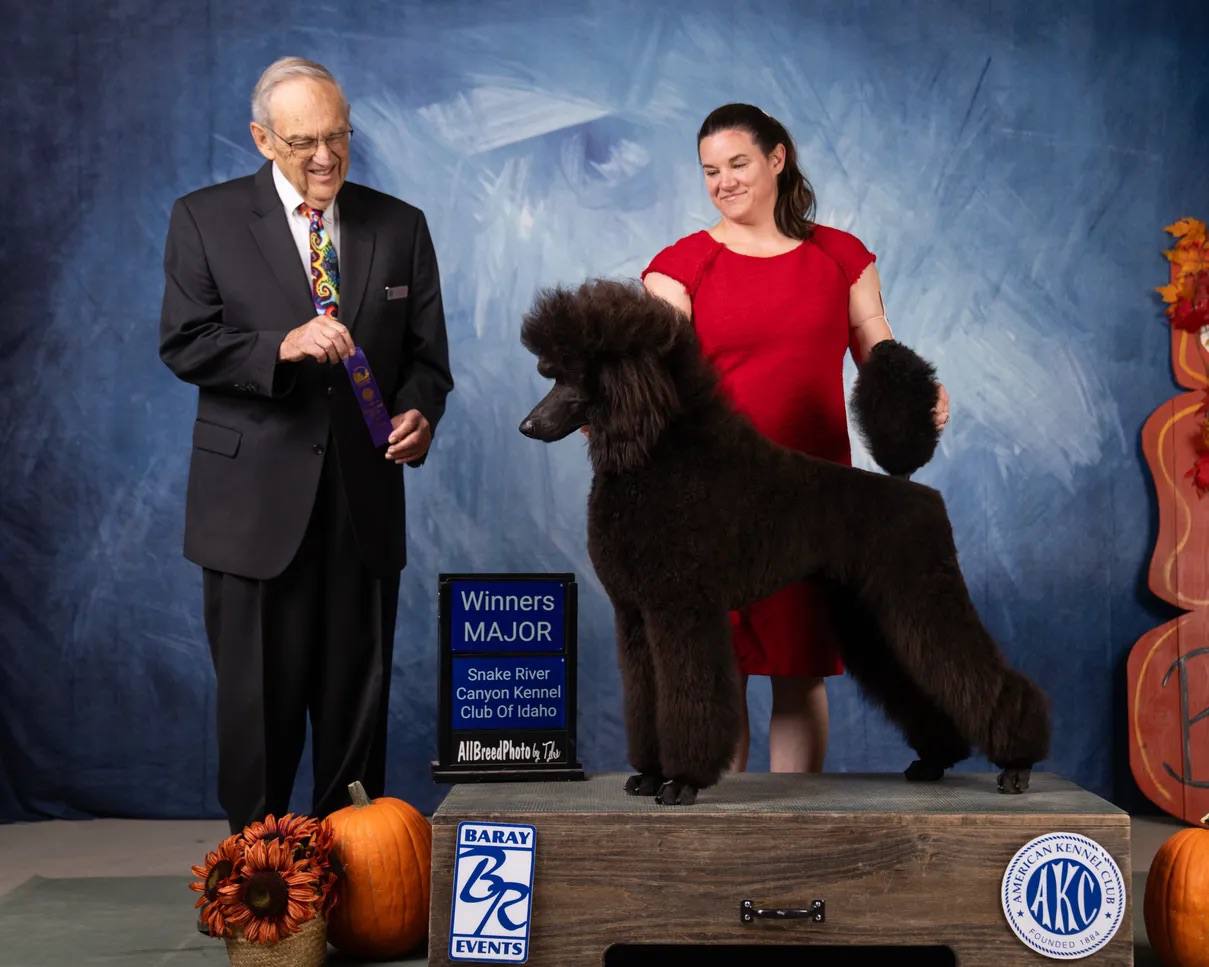 Enzo — Winners Major