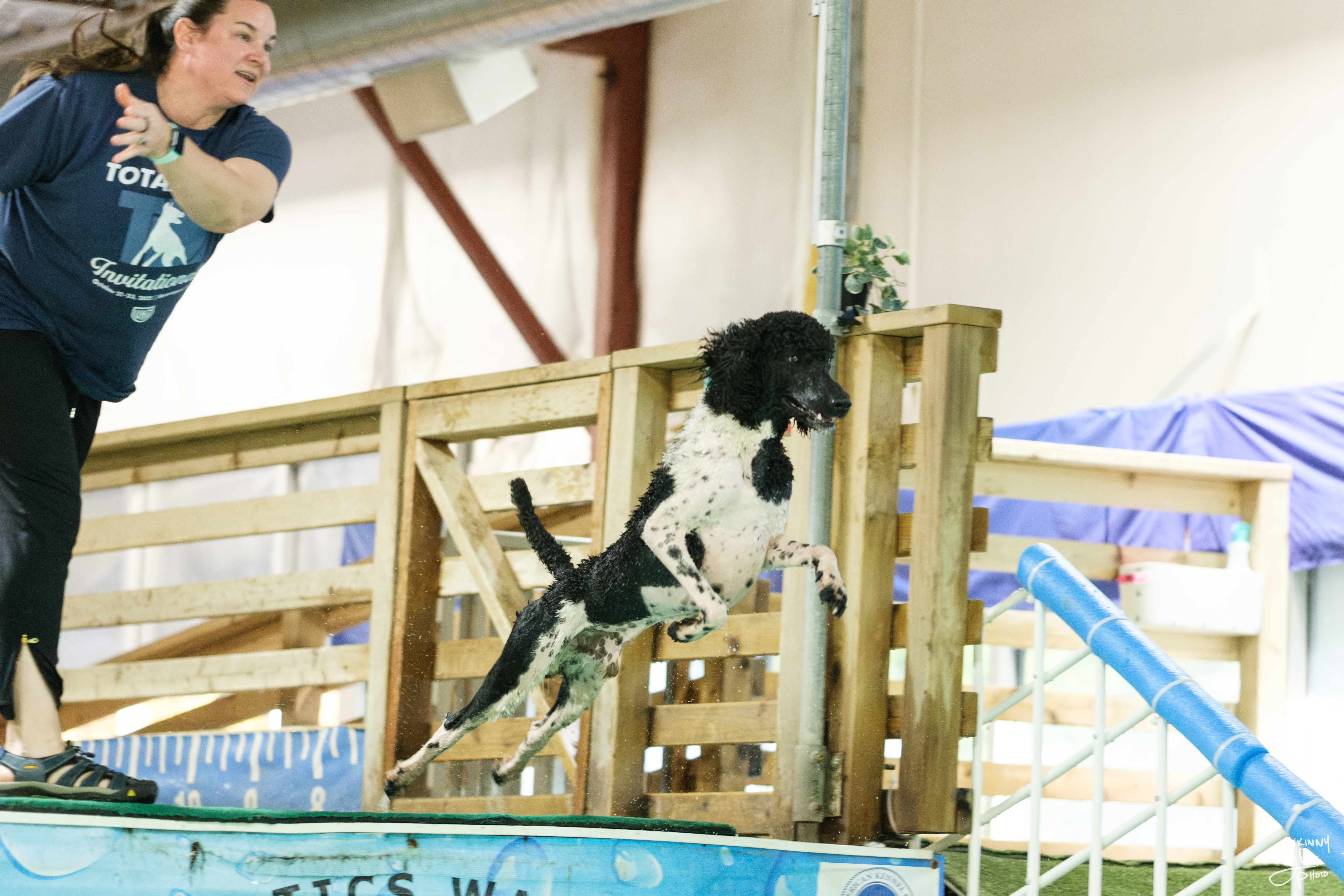 Fonzie dock diving