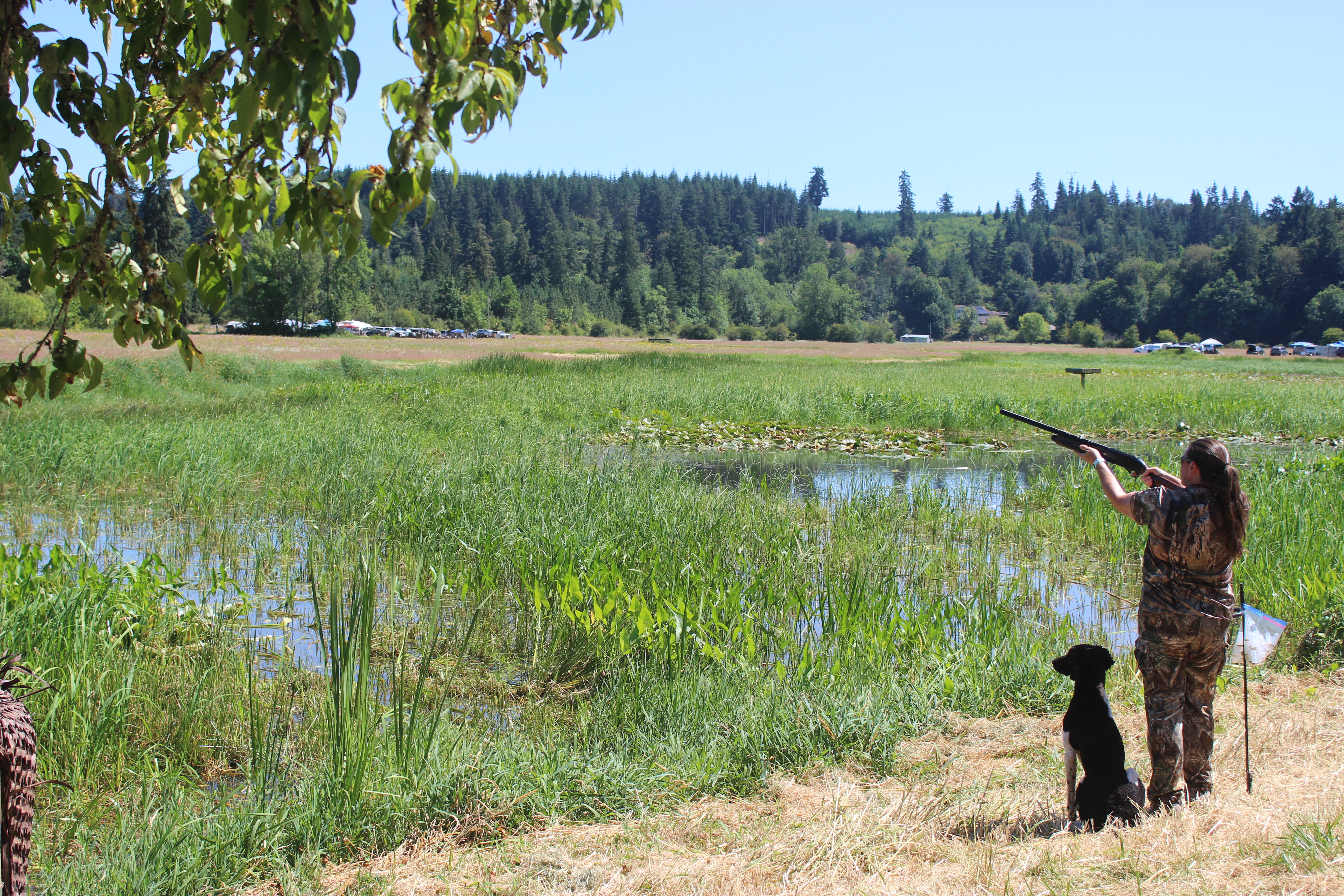 Fonzie hunt test water retrieve