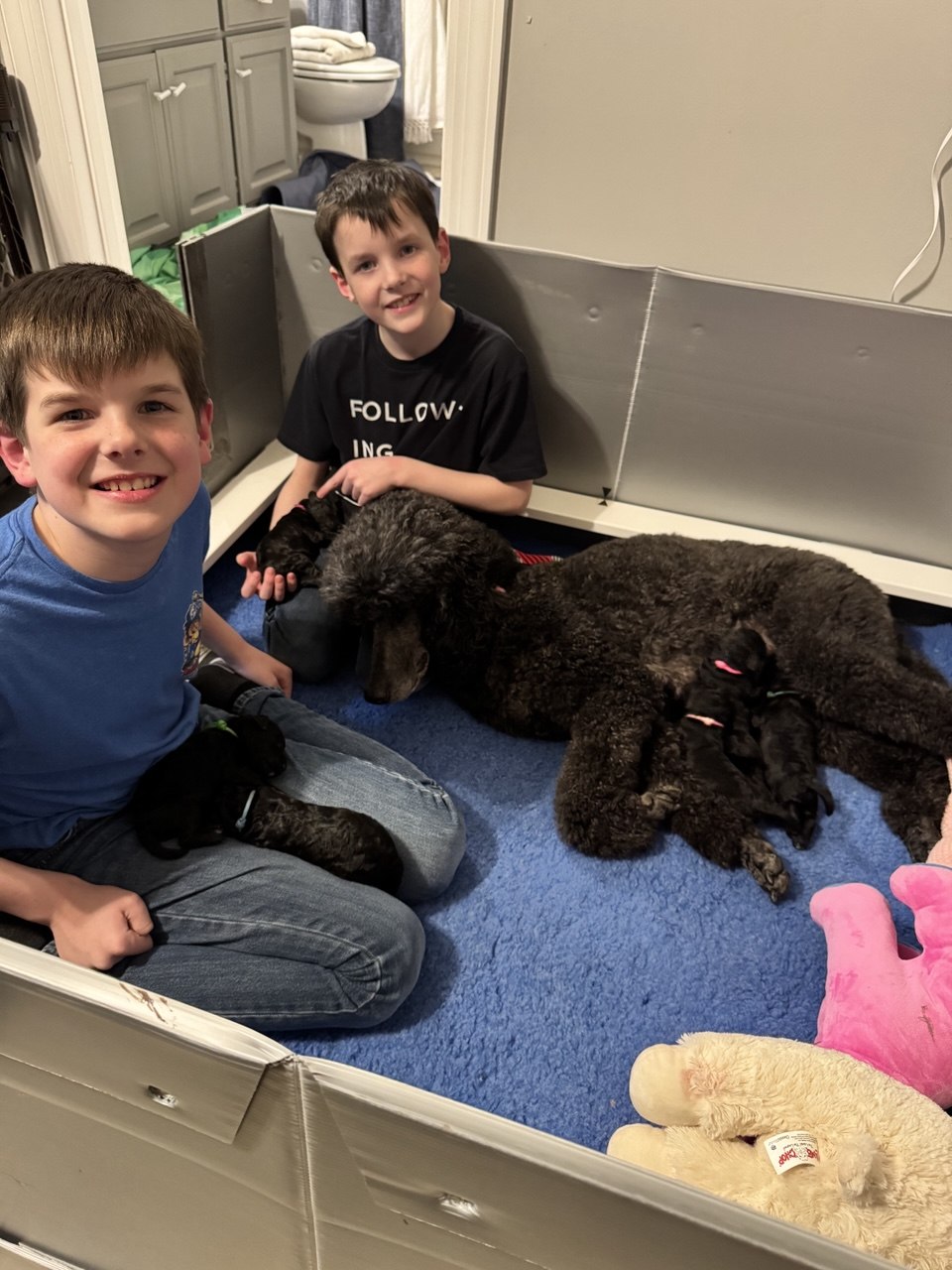 Kids with Honey x Fonzie litter puppies