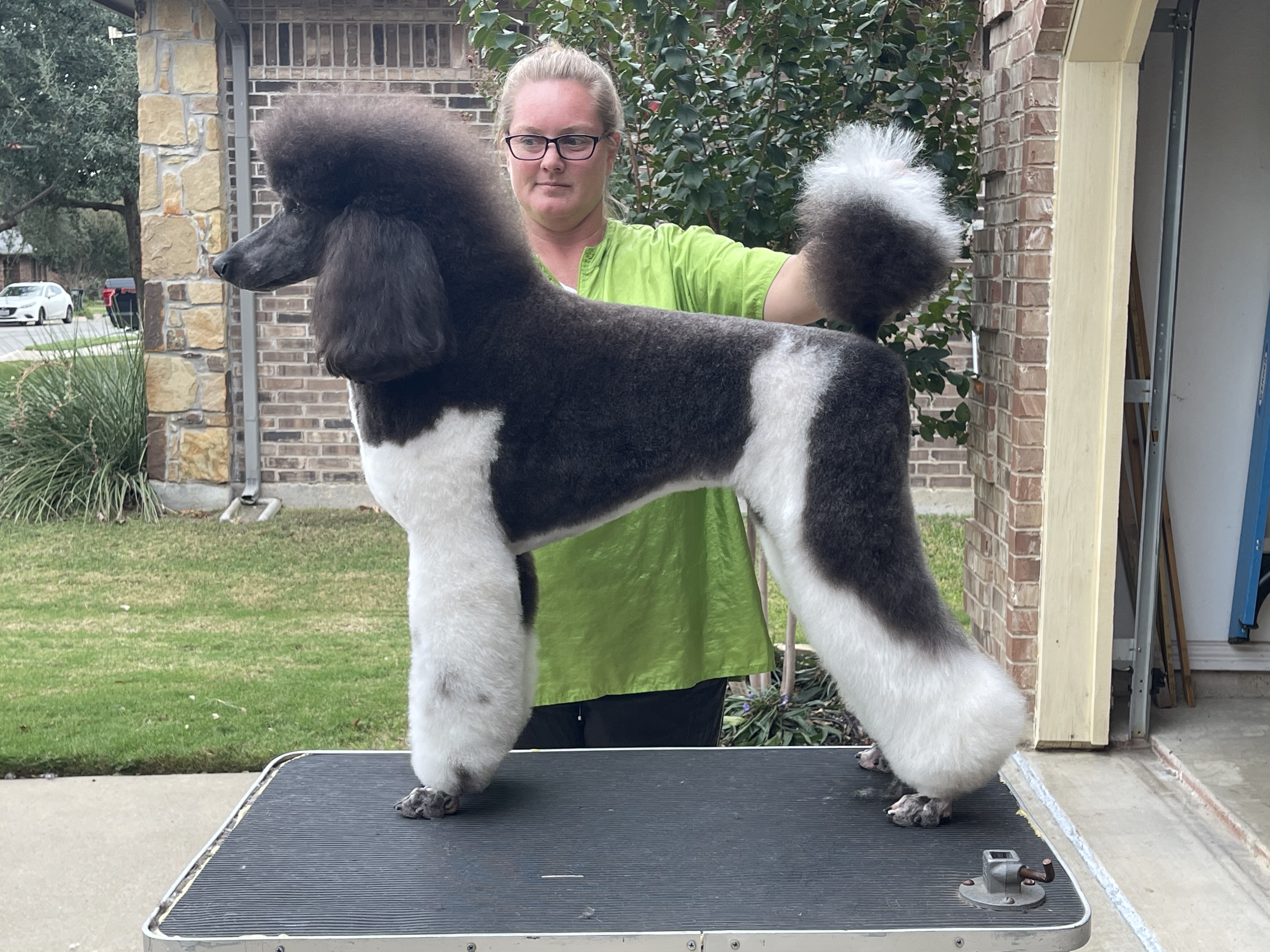 Zena — show stack 2021