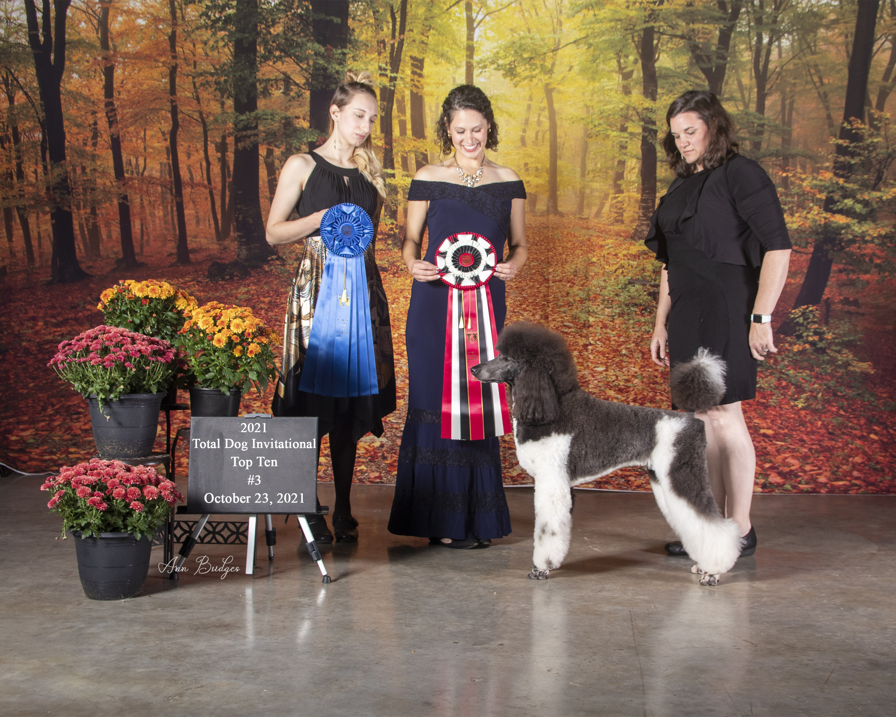 Zena — Total Dog Invitational Top 3, October 2021